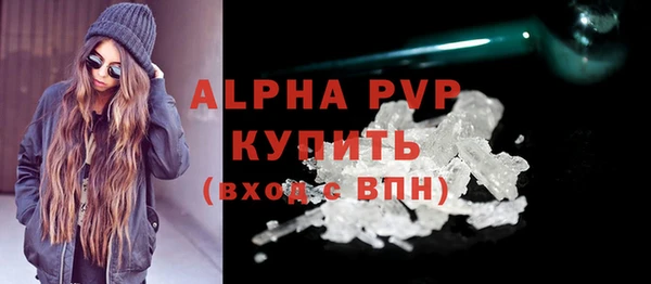 прущий лед Шали