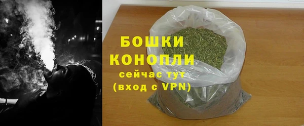 прущий лед Шали