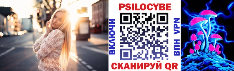 закладки  Сальск  Галлюциногенные грибы Psilocybine cubensis 