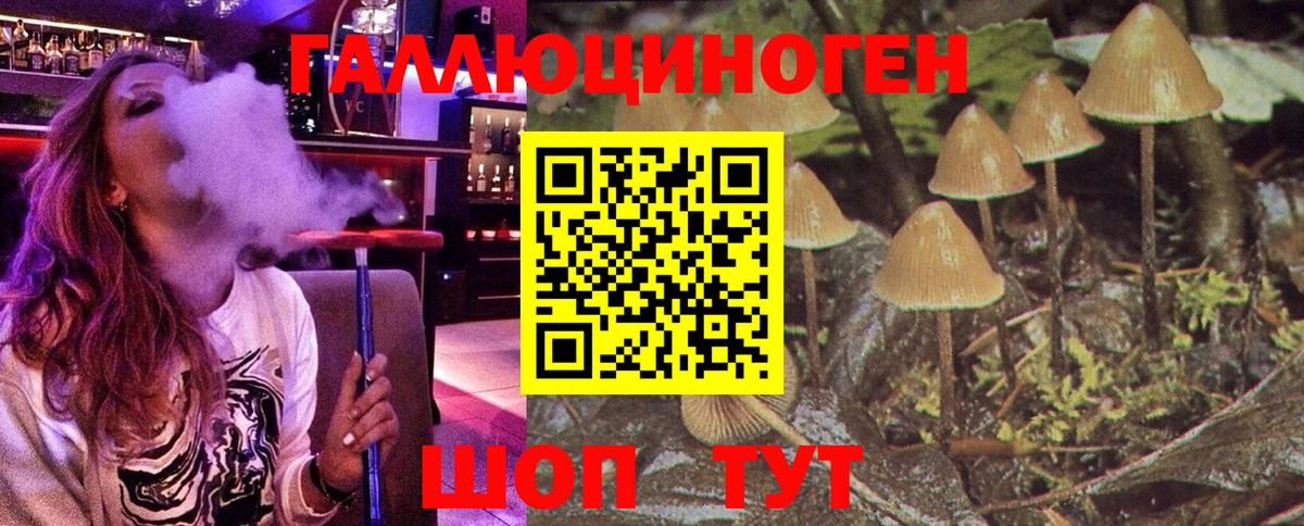 Псилоцибиновые грибы MAGIC MUSHROOMS  наркота  Сальск  Вход с VPN 